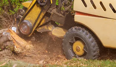 Graham Tree Services Inc gallery 7