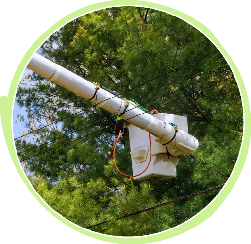 Graham Tree Services Inc gallery 10