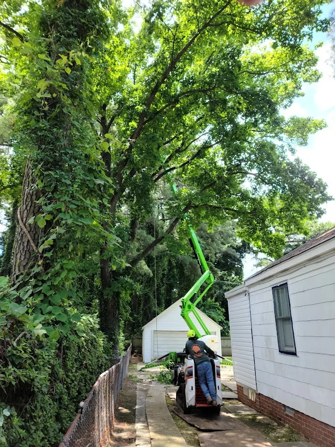 Great Scott Tree Service