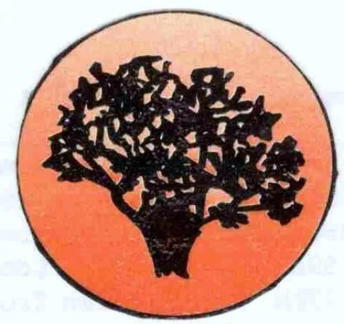 Great Scott Tree Service gallery 2