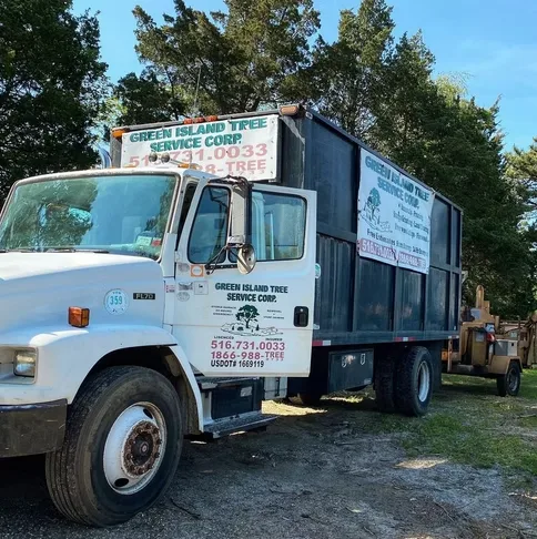 Green Island Tree Services gallery 3