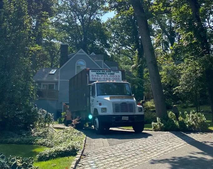 Green Island Tree Services gallery 5