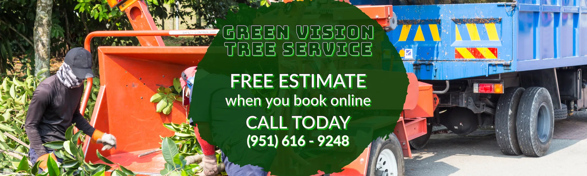 Green Vision Tree Service gallery 3