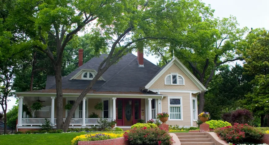 Green Vision Tree Service gallery 6