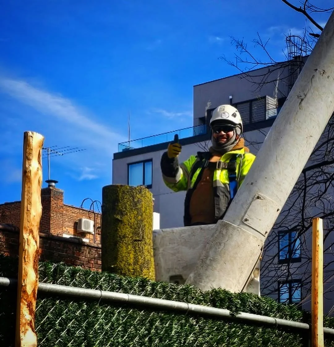 GreenLeaf Tree Removal | 24/7 Emergency Tree Service gallery 2