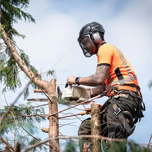 GreenLeaf Tree Removal | 24/7 Emergency Tree Service gallery 5