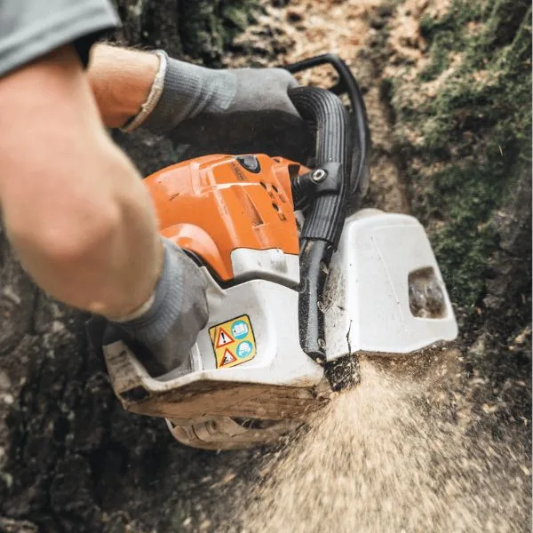GreenLeaf Tree Removal | 24/7 Emergency Tree Service gallery 7