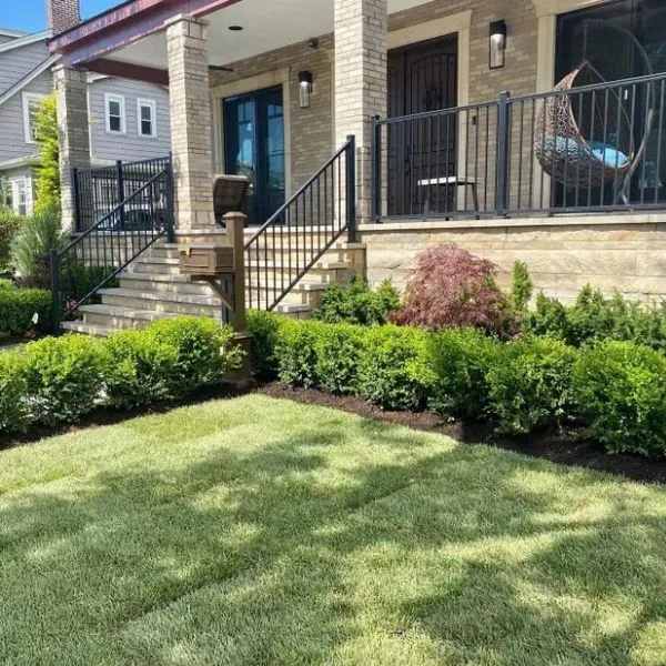 GreenLeaf Tree Removal | 24/7 Emergency Tree Service gallery 8