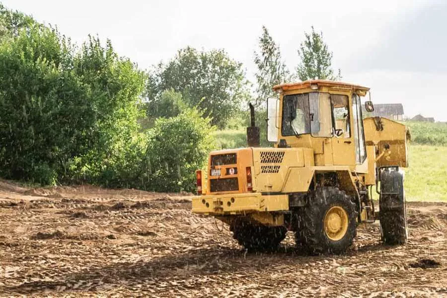 GreenLeaf Tree Removal | 24/7 Emergency Tree Service gallery 10