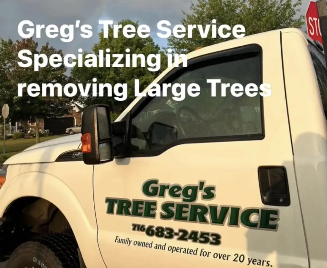 Greg's Tree Services has local signals that shape the first call
