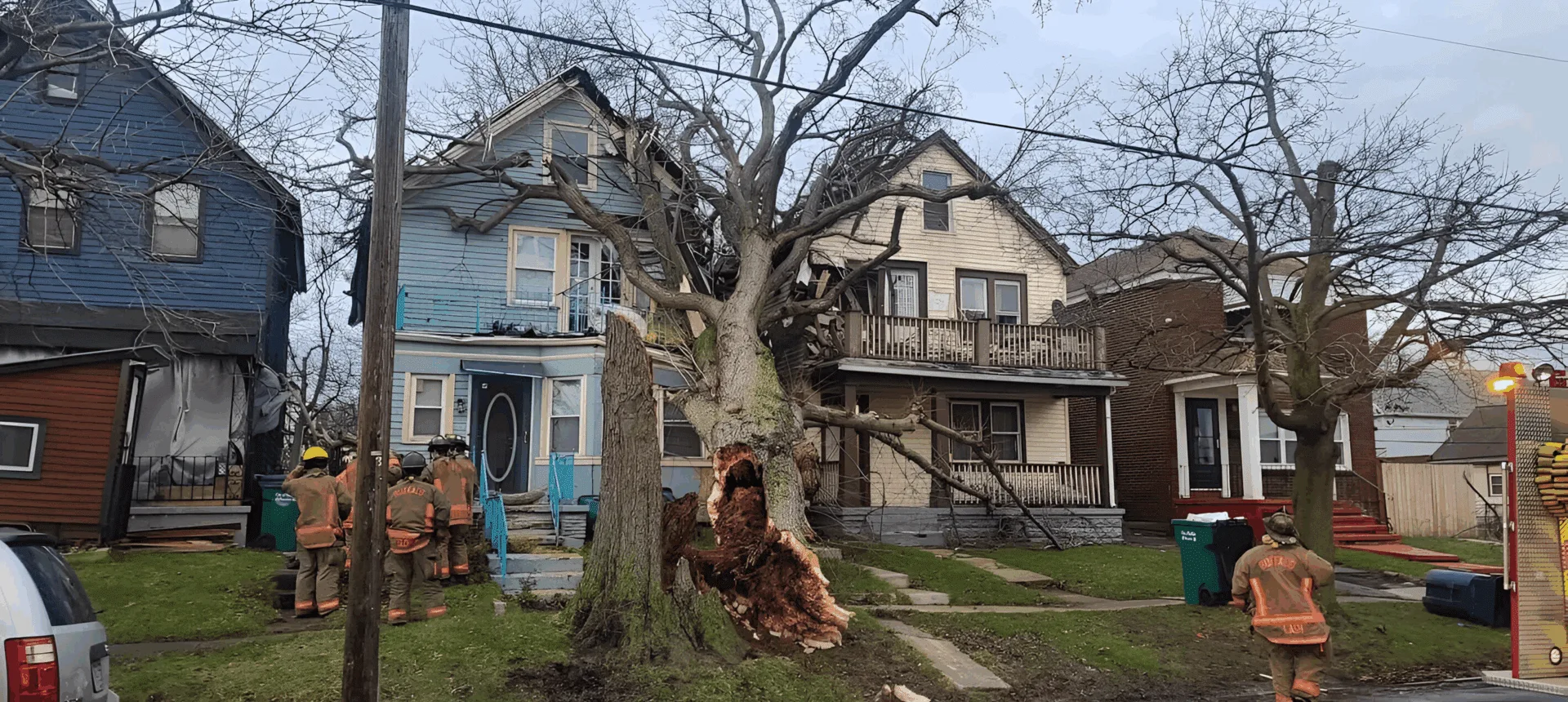 Greg's Tree Services gallery 2