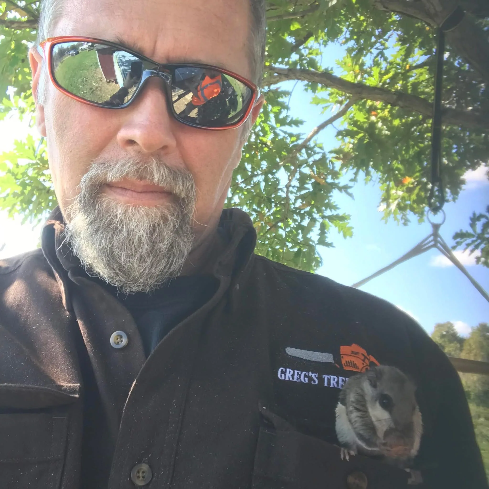 Greg's Tree Services gallery 3