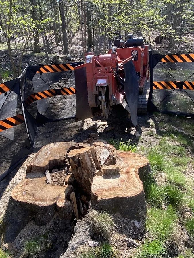 Ground zero stump grinding