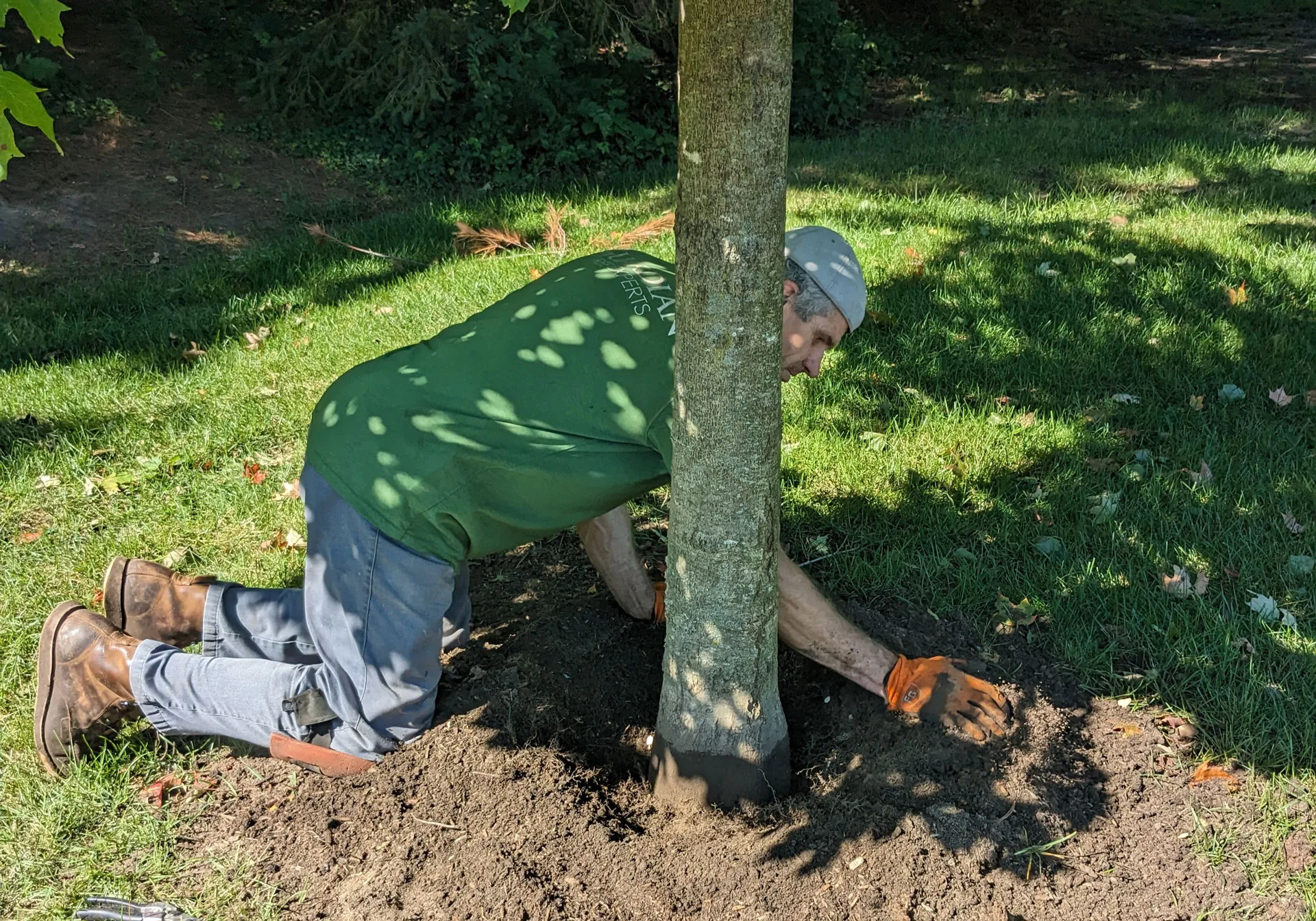 Guardian Tree Experts LLC gallery 3