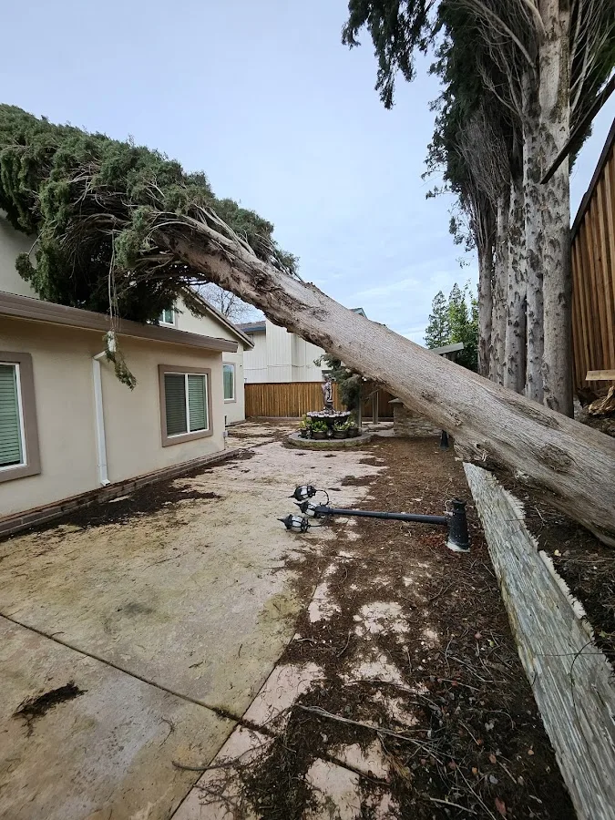 H G tree service