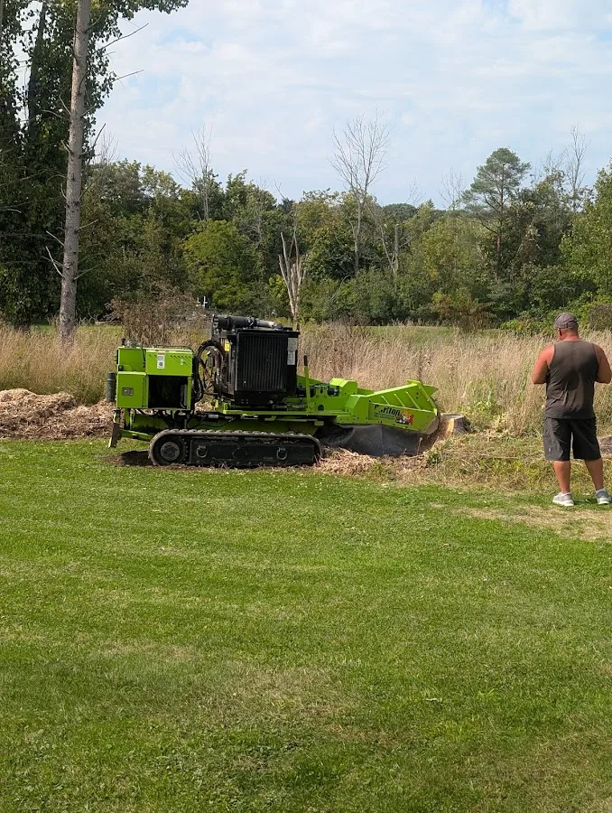 Half Price Stump Grinding