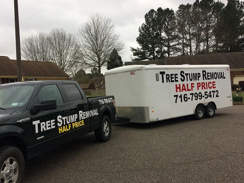 Half Price Stump Grinding gallery 2