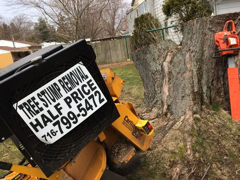 Half Price Stump Grinding gallery 4