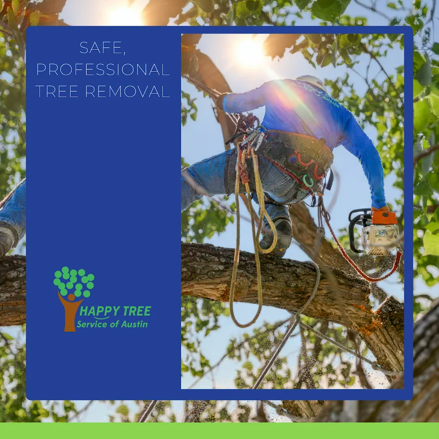 Happy Tree Service of Austin gallery 2