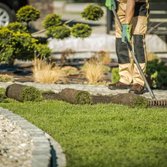 HDZ Tree Services Inc gallery 2