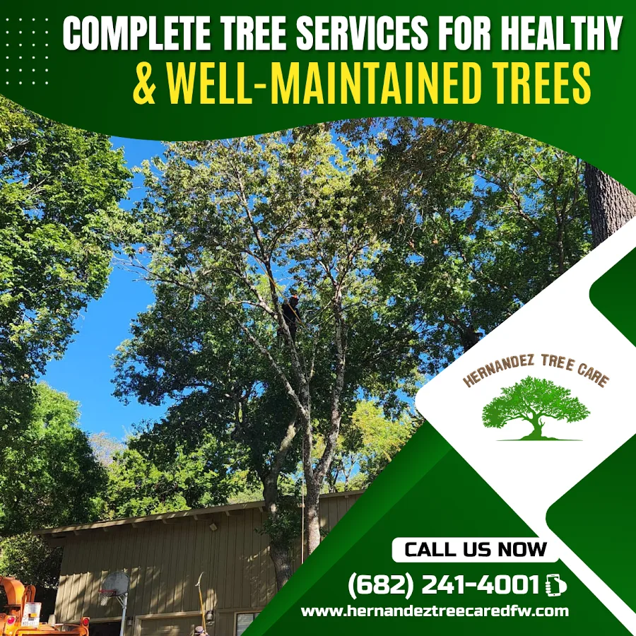 Hernandez tree care