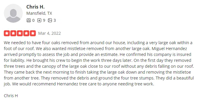 Hernandez tree care gallery 3