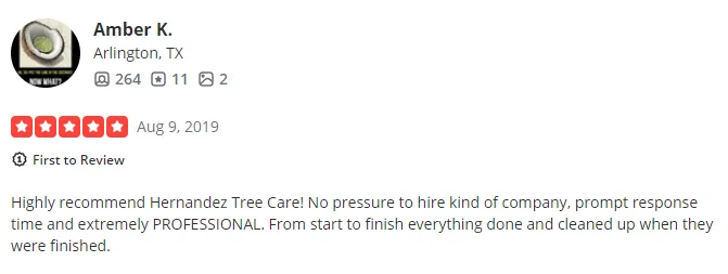 Hernandez tree care gallery 4