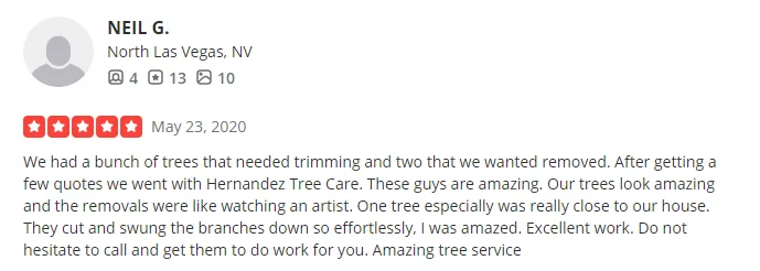 Hernandez tree care gallery 5