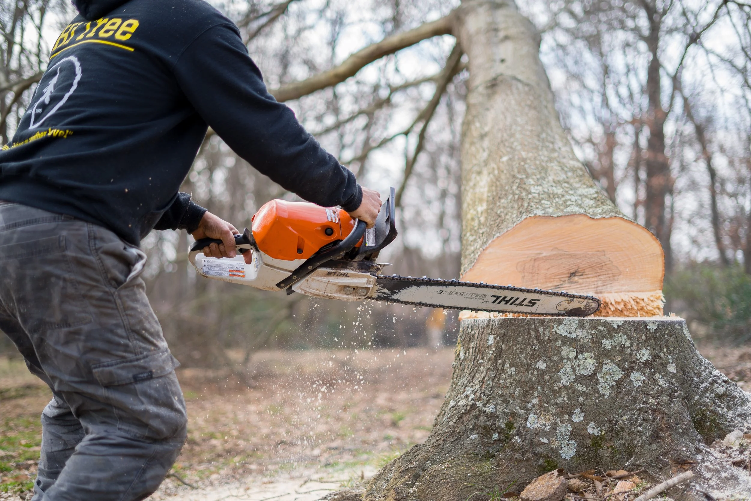 Hi Tree Service gallery 3
