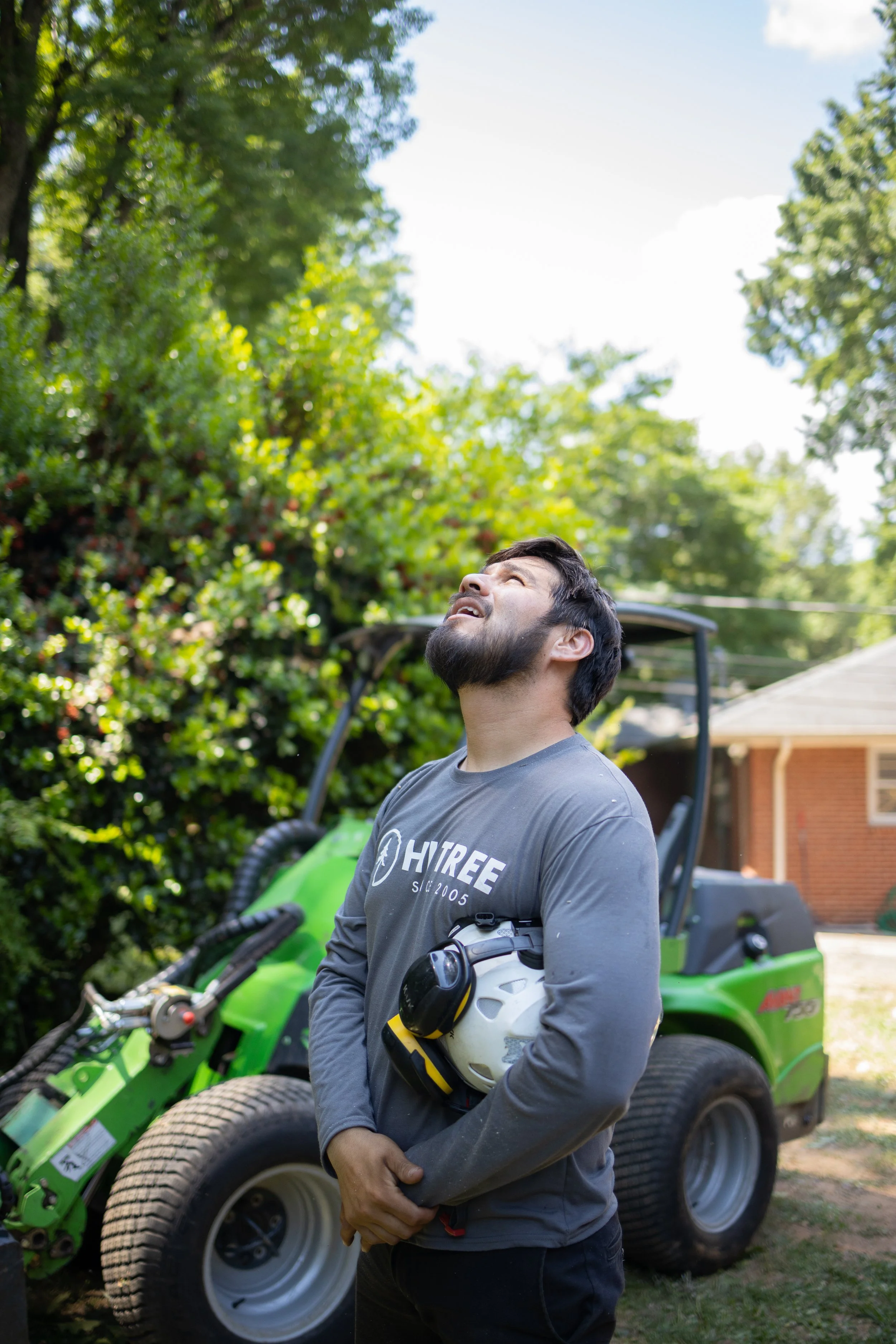 Hi Tree Service gallery 7