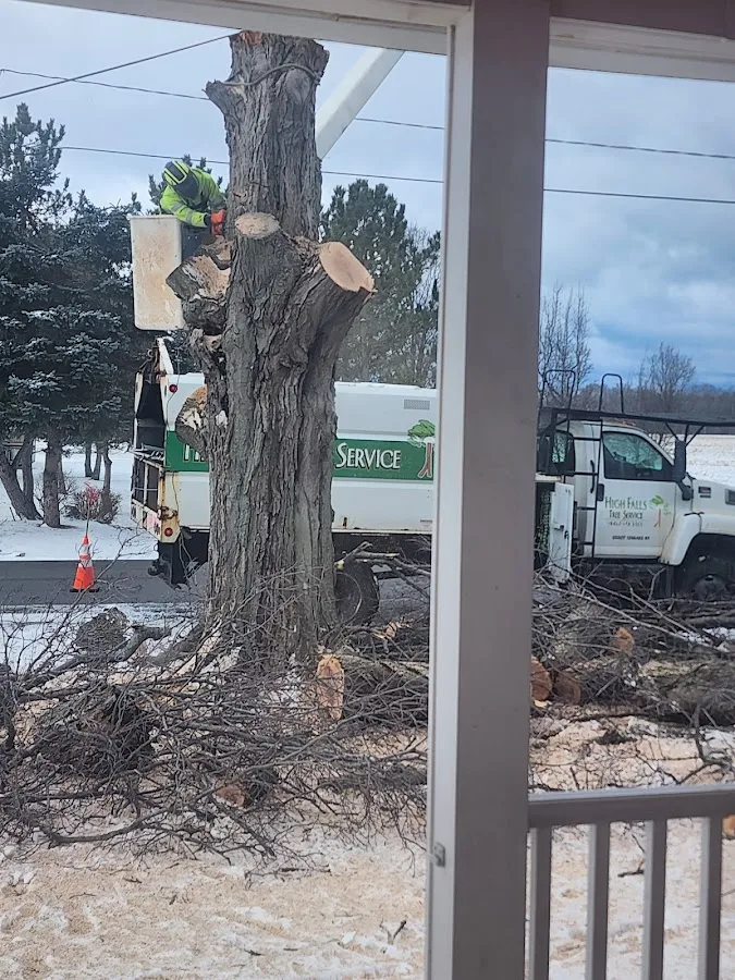 High Falls Tree Service