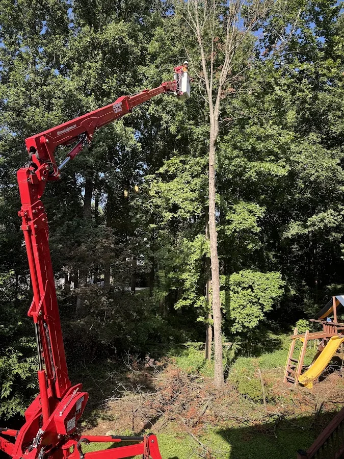 Highlander Tree Service LLC