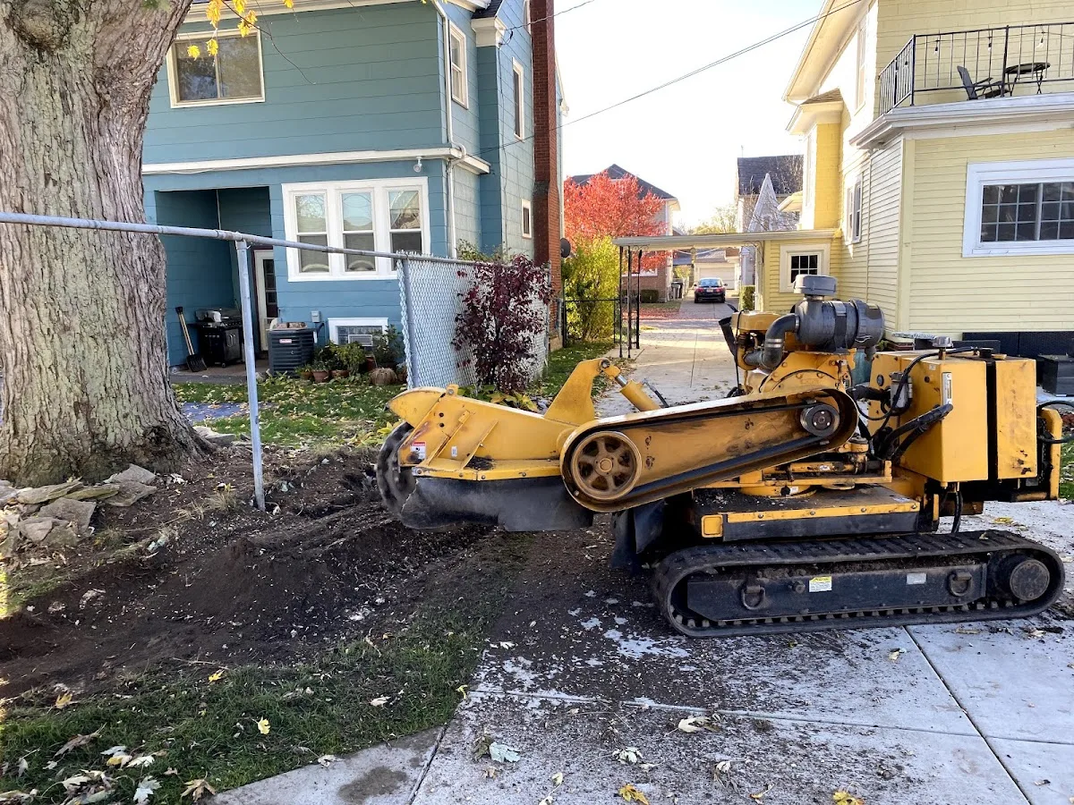 Huck's Stump Grinding
