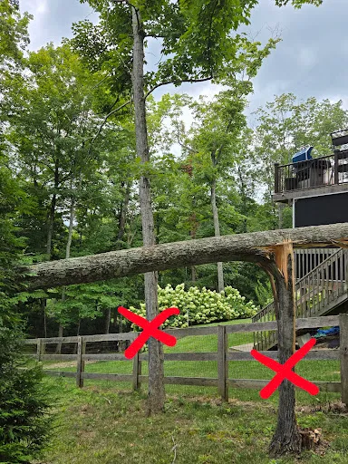 Hutson Tree Service gallery 6