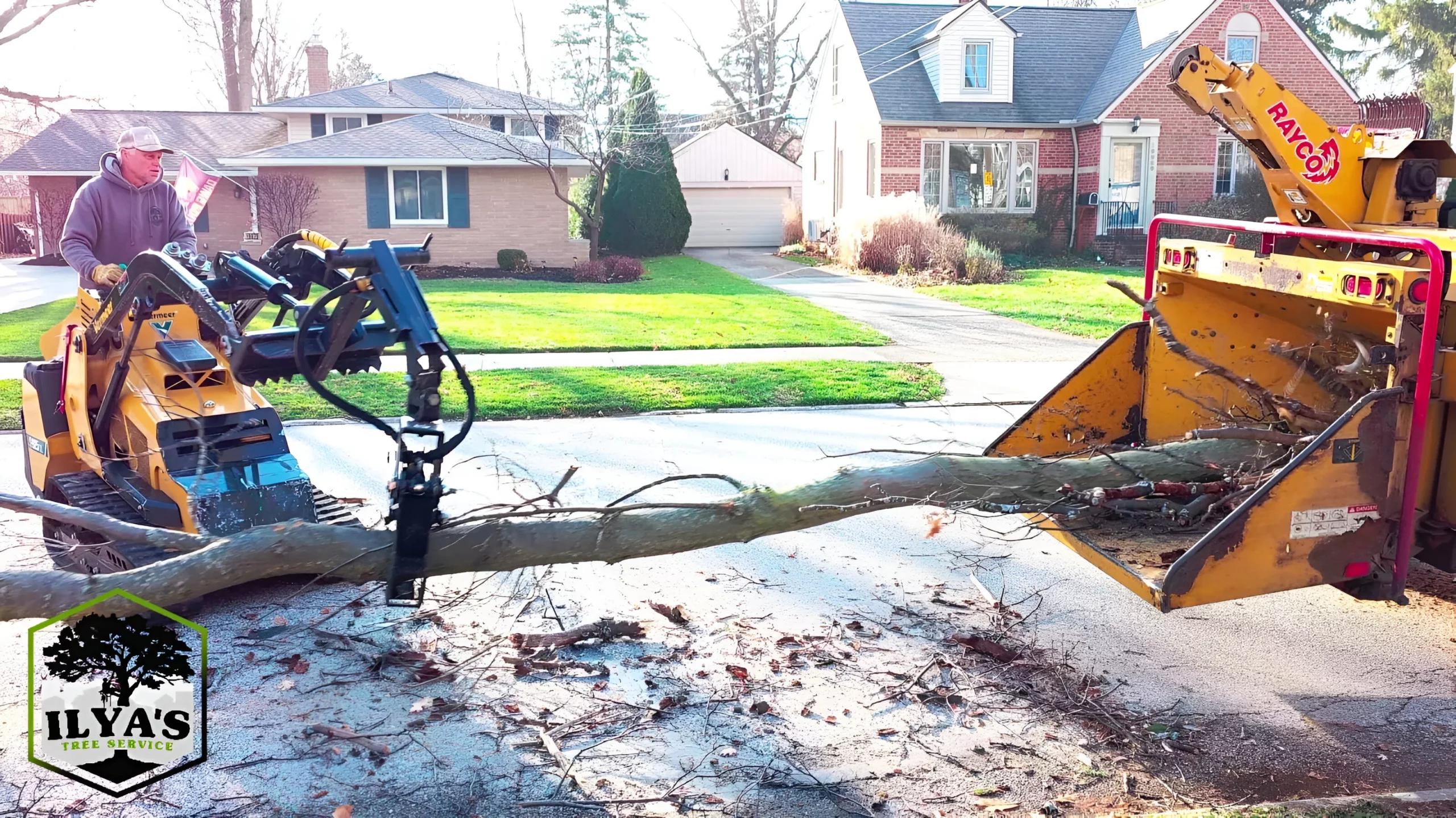 Ilya's Tree Service gallery 5