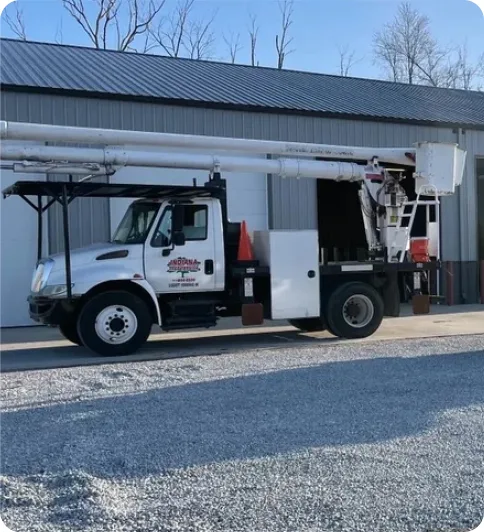 Indiana Tree Service gallery 2