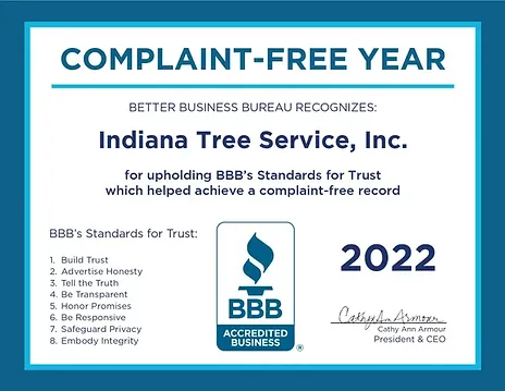 Indiana Tree Service gallery 3