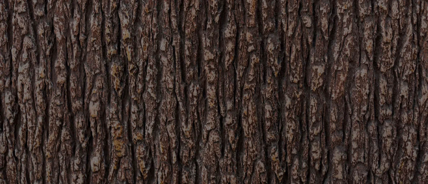 Indiana Tree Service gallery 7