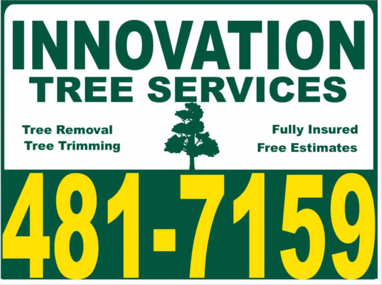 Innovation Tree Services gallery 5