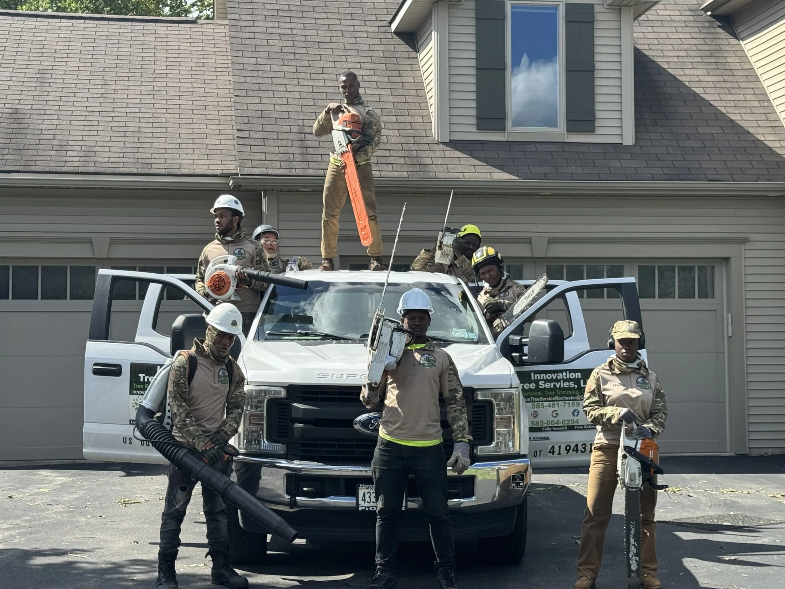 Innovation Tree Services gallery 7