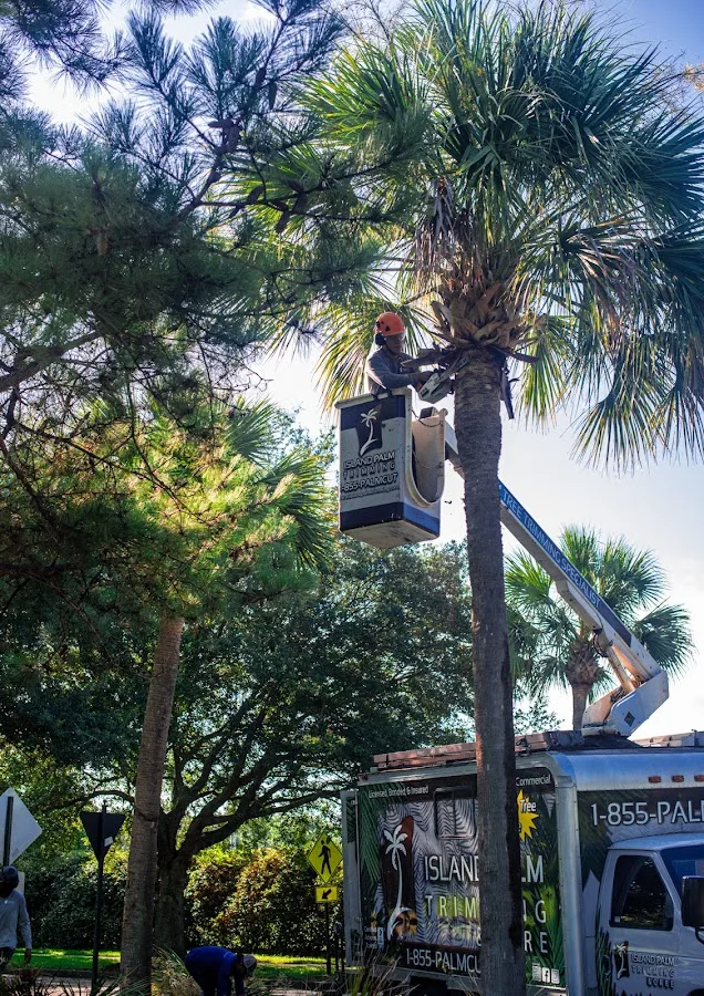 Island Tree & Property Care