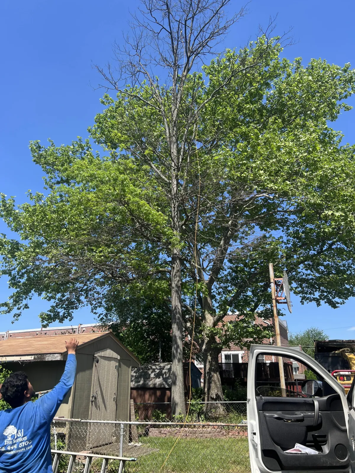 J&J landscaping and tree services gallery 5