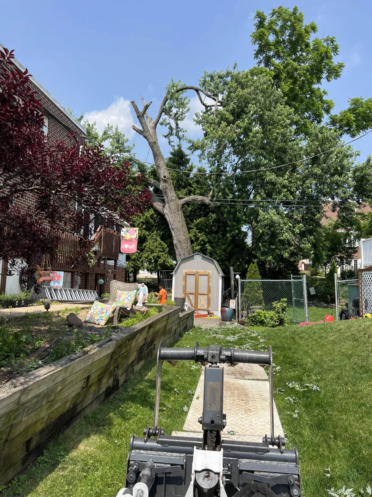 J&J landscaping and tree services gallery 6