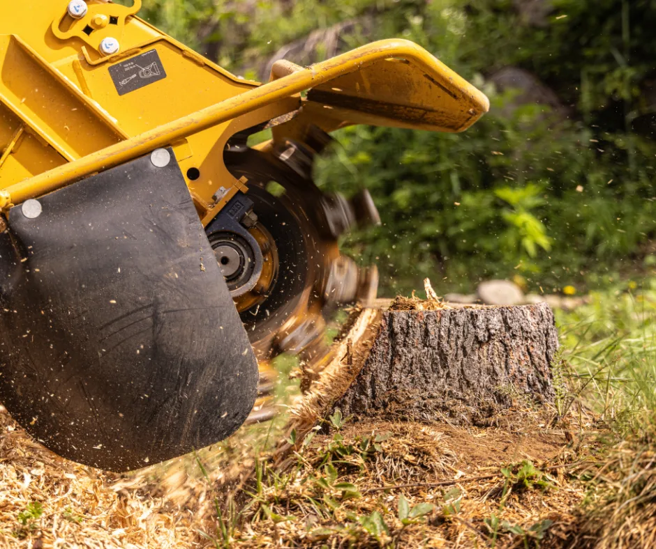 J & J Tree Services gallery 2