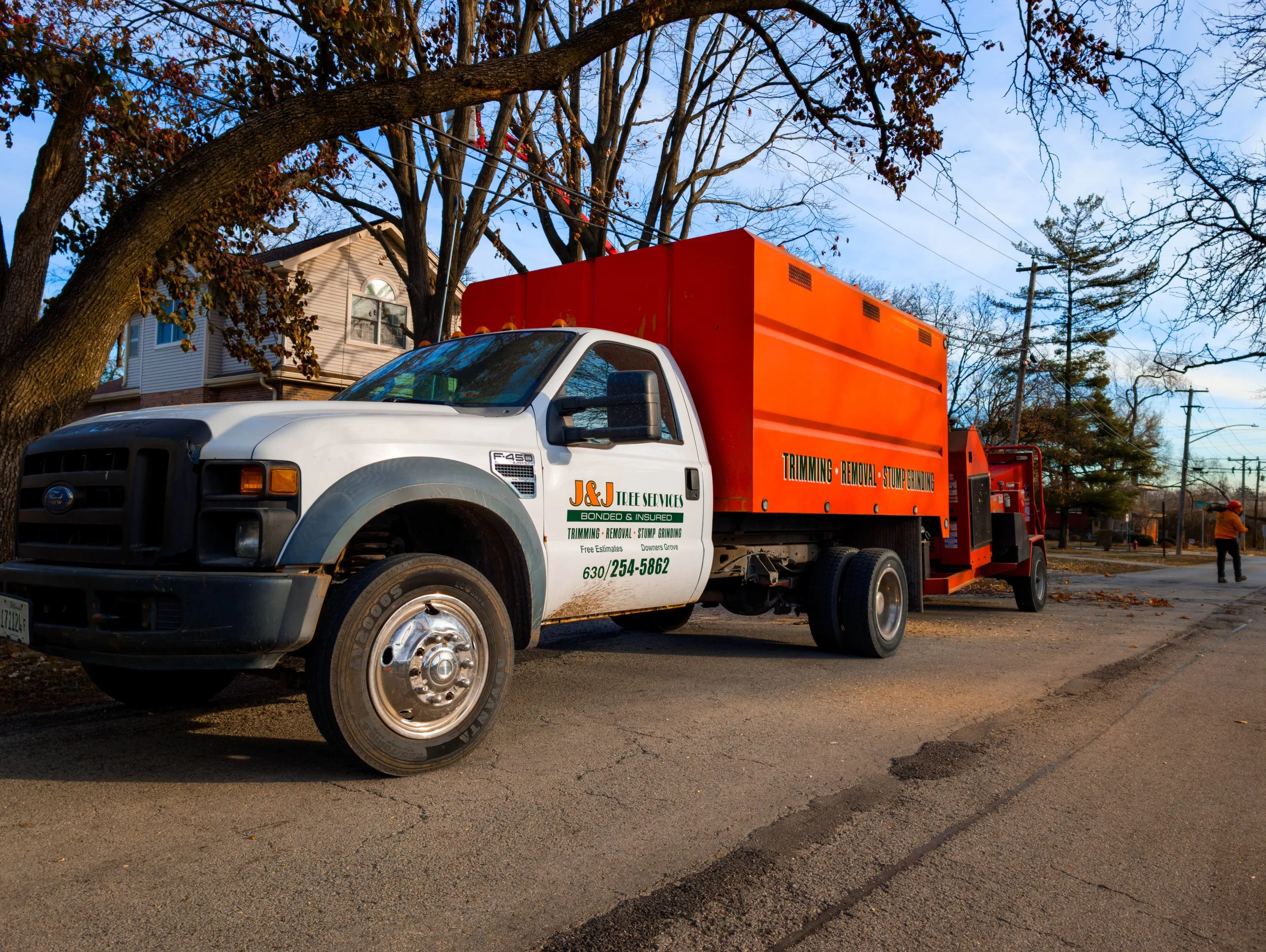 J & J Tree Services gallery 4