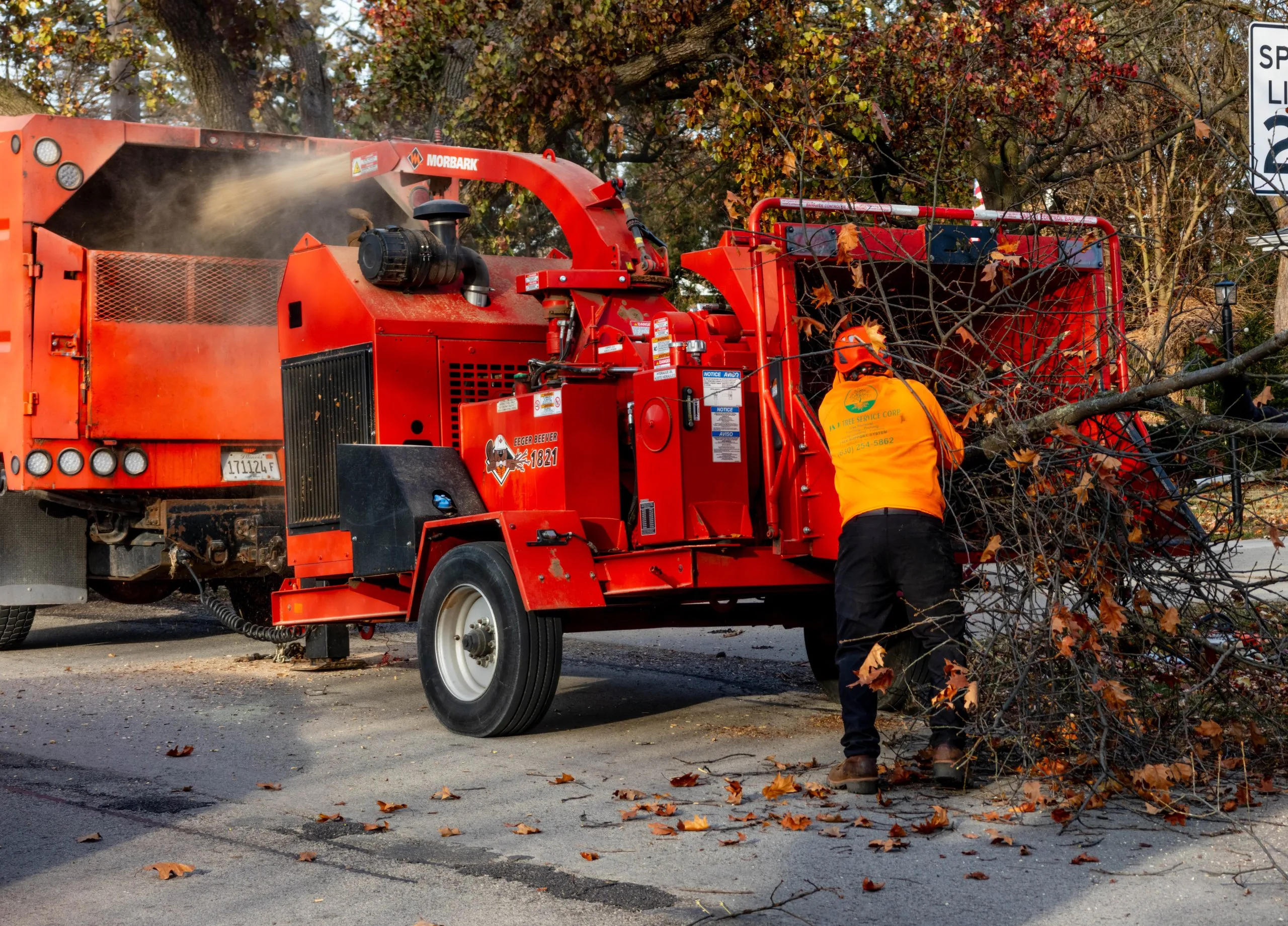 J & J Tree Services gallery 5