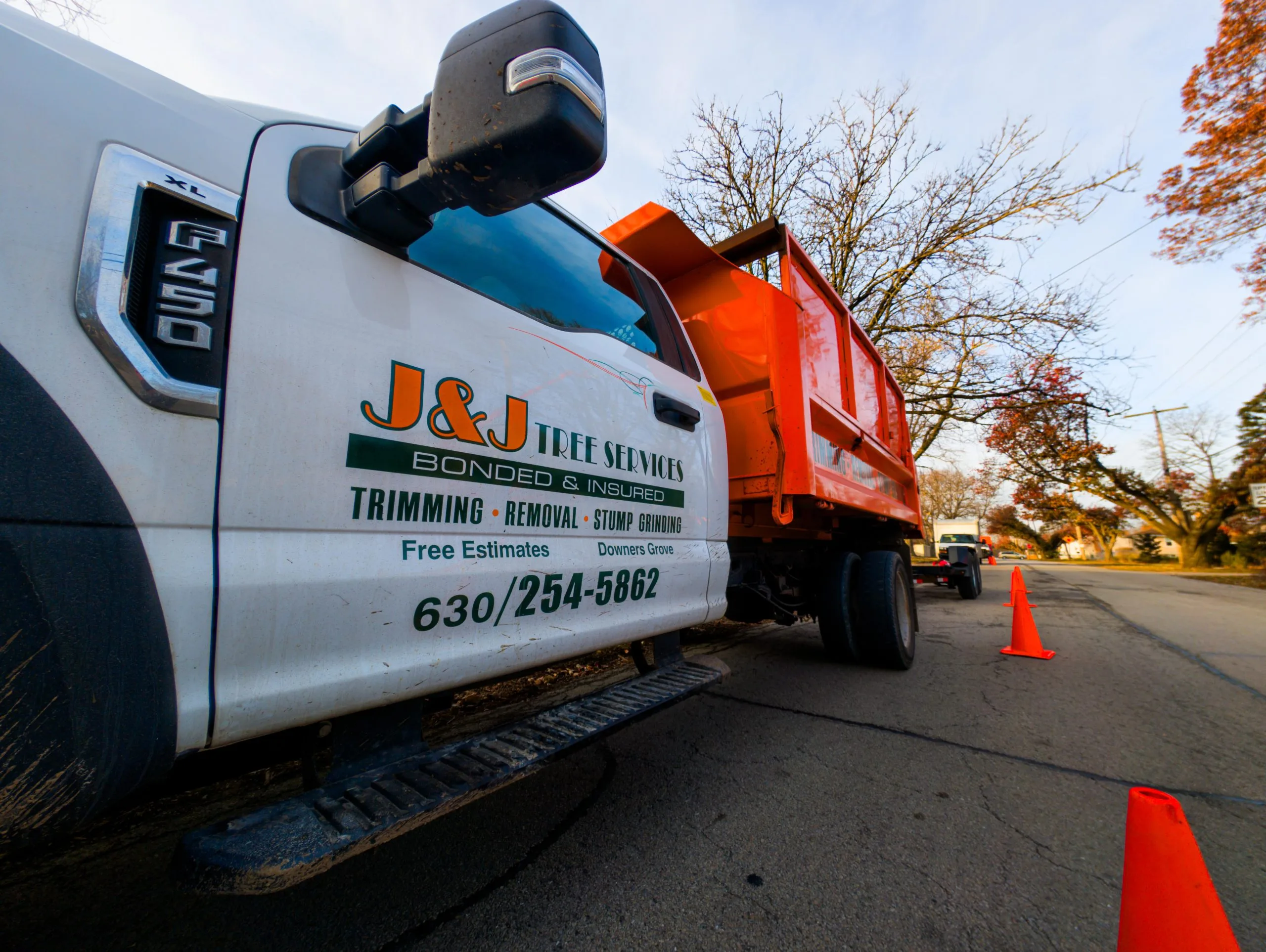 J & J Tree Services gallery 6