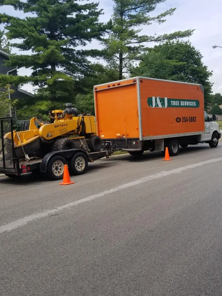 J & J Tree Services gallery 7