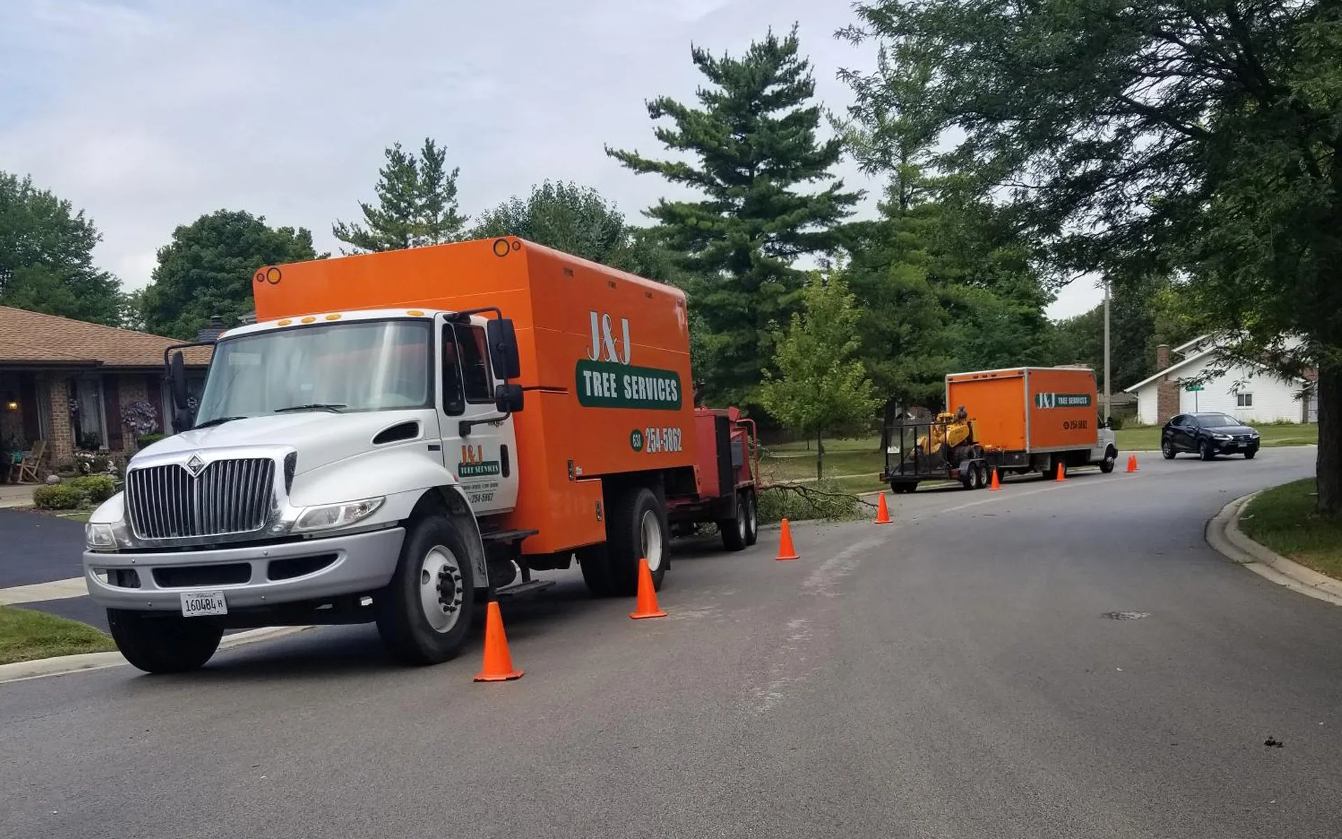 J & J Tree Services gallery 8
