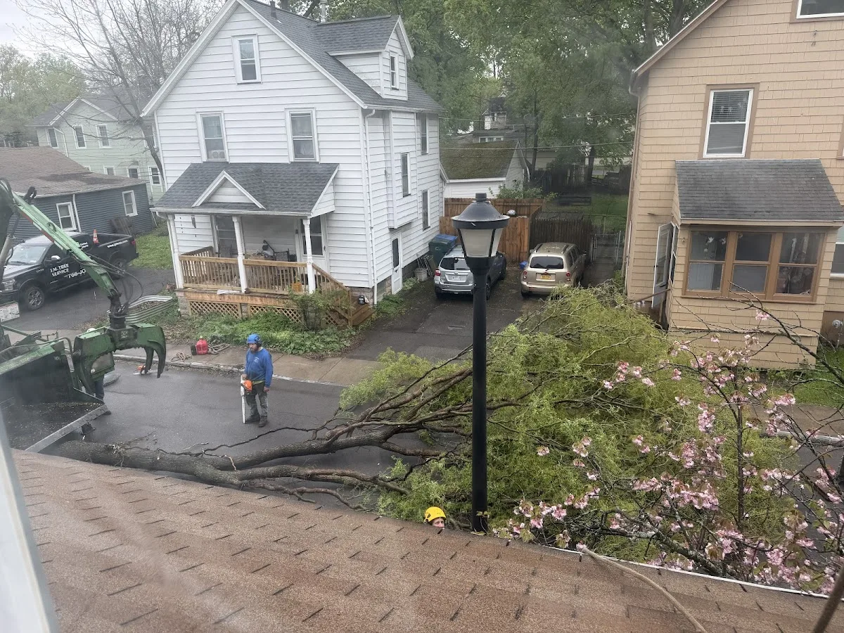 J.M. Tree Service